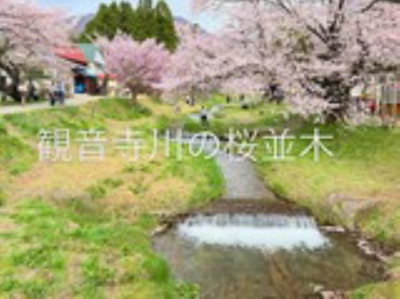 #測量見積　#点検　#観音寺山桜　#川桁　#磐越山　#磐越西線　#猪苗代湖ズ