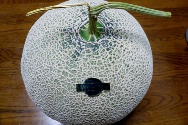 山川草木・動物 歳時記 Ⅱ - 2024年11月