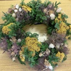 佐倉草ぶえの丘バラ園 ボランティア日誌