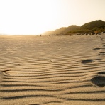 （ ﾟ毒ﾟ）< しんどい。