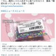 プラスチックのチョコチップをまぶしたケーキを配布。京都