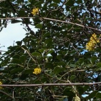 湖畔の宿 森本　時季折々～tokioriori～