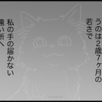 基地　ゆずきよ