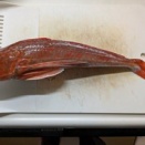 ほうぼうを食う