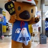 『武田菱丸くん』の画像