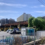 散歩と旅ときどき温泉