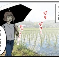 「田んぼに赤いものが…」近づいてみると衝撃の光景