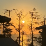 音楽の話がしたいのさ