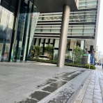 三毛猫ランチ２