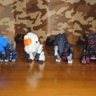 『肩ズンFig. ZOIDS 全4種 コンプリートセット 届く!!』の画像