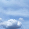 会えて嬉しかった