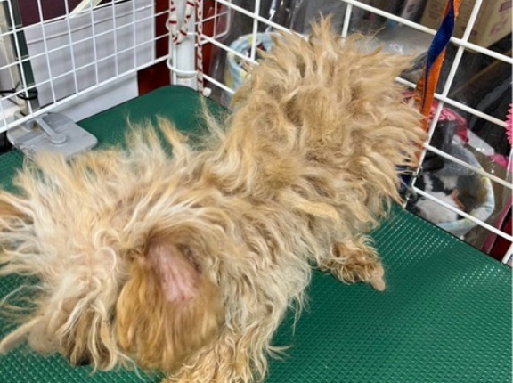 昨夜も深夜2時過ぎまでスタッフさん達が💦