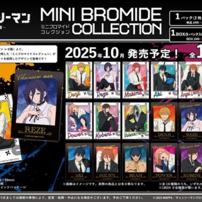 チェンソーマン 凛として時雨 クリアファイル CD チェンソーマン 凛として時雨 クリアファイル CD チェンソーマン