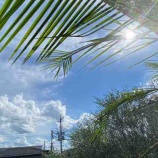 �ؽѸ壱����Ф��ޤ��������٤β���