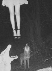 直送商品 スローダウンスタジオ Slowdown Studio ブランケット 海外小物 雑貨 ギフト プレゼント メンズ Slowdown Studio Bendy Nanas Mini Blanket ハンカチ ハンドタオル