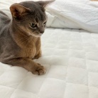 【楽天スーパーセール】プチプラウールセーターがなかなか良い&ポチったものと気になるものとか