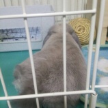 『そら🐰 あったかマットとりんごの皮で、冬を乗り切ろうね！』の画像