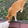 このみ🎀予定変更しました