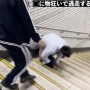 やり過ぎではないかと指摘が入った私人逮捕系YouTuber、JRに注意されても活動を続けると宣言 「各所からどんな妨害を受けようとこの活動を続ける」