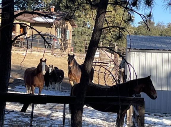 心を患った人のために