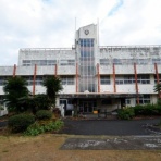 オバサンヘアーでゴーゴー