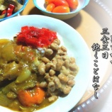 『辛味入り汁かけ飯』の画像