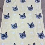 猫とふたり暮らし～evaとaiaiの日常～