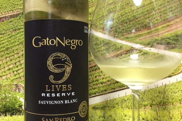 Red Red Wine：「偉いワイン」探しの備忘録（ワインブログ） - GatoNegro