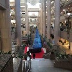 コガネムシのつぶやき