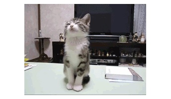 【癒】眠れる画像貼ってけwwwwwwwwww