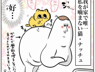 甘えん坊Babyナッチュの話