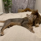 ちび子とぼくちん