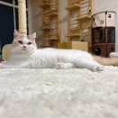 暑くなると距離が近くなる