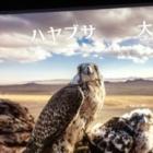 立体模型をみて構造をつかむ - アンネの「隠れ家」の模型 - : 発想法