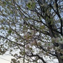 夕方から外出する