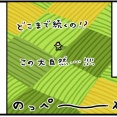 【父と北海道６】富良野の景色ウィンドウズ98の壁紙すぎ