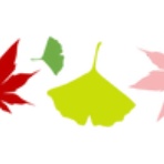 ふわてくもぐ