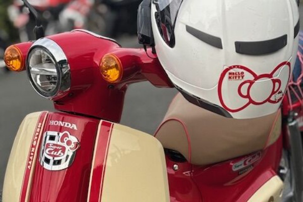 いくゾ～ やるゾ～ がんばる象