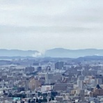 たぬきの庭