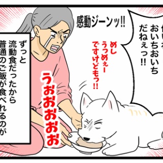 ちーちゃんっ🐾