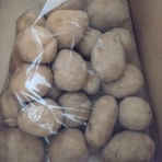 明日は晴れるかな