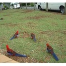 コモディティ化されていない店員は臨機応変に行動する！