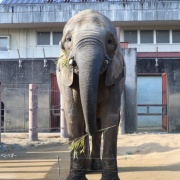 媛ちゃんからプレゼントもらった♪