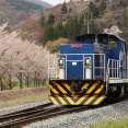カメラ触ってない！！！
