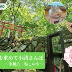 東信さんぽ