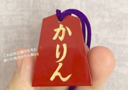 【画像】これは欲しいｗ 「伊藤かりん」駒。。。