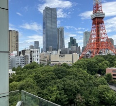 歴史を刻む！ 日経平均、 最高値を更新し続けた一週間を振り返る