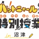 アンコンシャスバイアスって何？ハットニャール博士が沼津に来るらしい。沼津でゆるっと学ぶ偏見ゼロ生活。