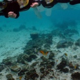 『２泊３日沖縄旅行⑩～「青の洞窟」でシュノーケリング＠恩納村 真栄田岬』の画像