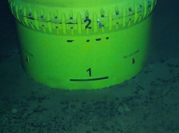 レアアース採取、アメリカ参加で加速…日米首脳会談でトランプ氏に呼び掛けへ！